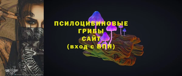 амф Володарск
