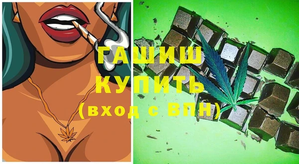 сатива Анжеро-Судженск