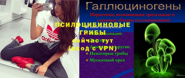 a pvp Медвежьегорск