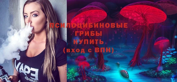 спайс Апатиты
