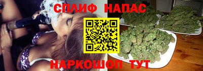 apvp Коммунар