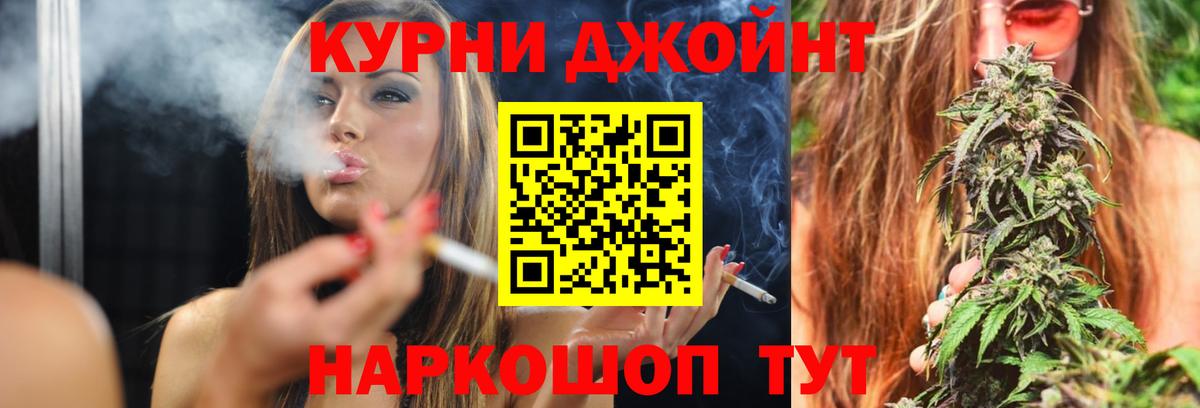 Конопля сатива Геленджик
